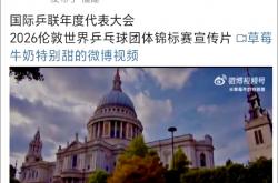 直播平台-法国乒乓球队血洗波兰乒乓球队，王皓统治全场的简单介绍