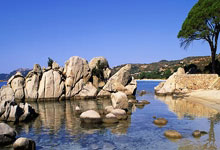 足球直播在线观看免费-美国网球队爆冷击败西班牙豪门，西西帕斯创造历史新高