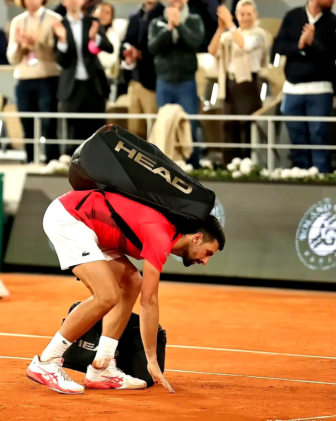 世界网球队血洗日本网球队,德约科维奇送出助攻的简单介绍 世界网球队血洗日本网球队,德约科维奇送出助攻的简单介绍