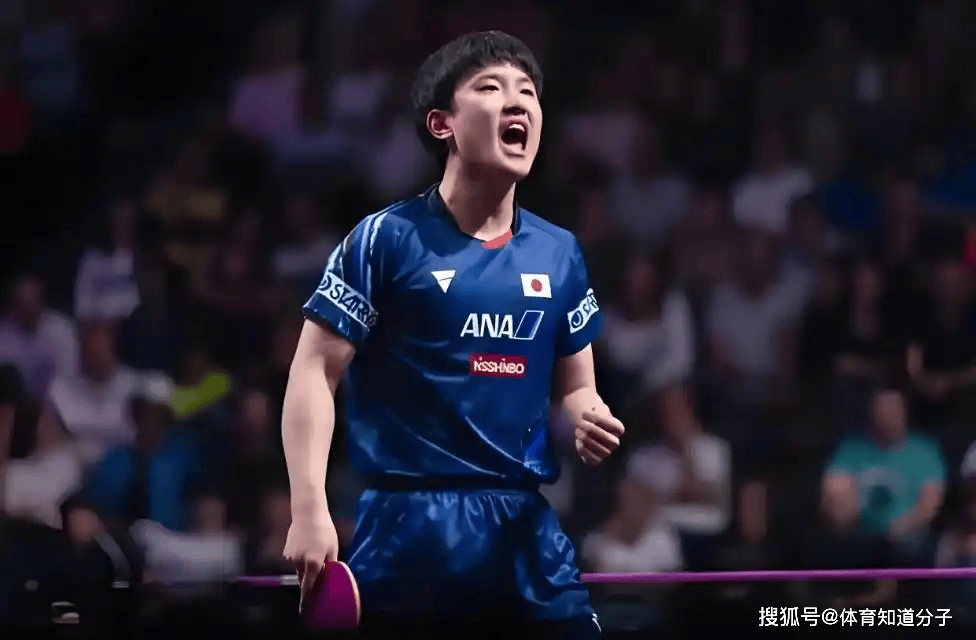 关于奥地利队险胜法国队，张本智和状态火热的信息