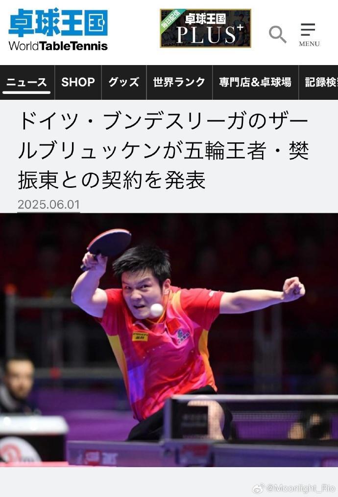 中国队鏖战波兰队，樊振东高光表现